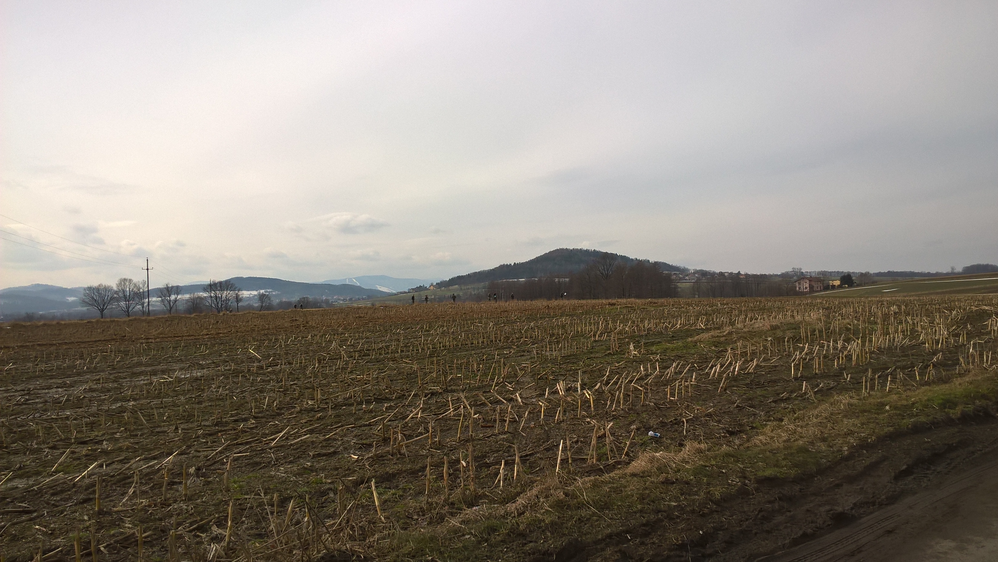 WP_20180308_10_24_47_Pro